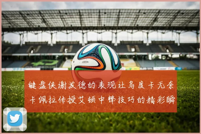 键盘侠谢泼德的表现让乌度卡无奈卡佩拉传授艾顿中锋技巧的精彩瞬间