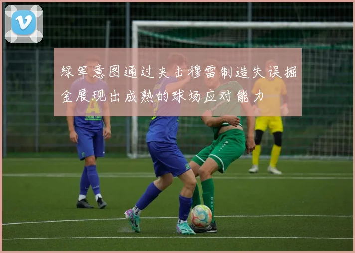 绿军意图通过夹击穆雷制造失误掘金展现出成熟的球场应对能力